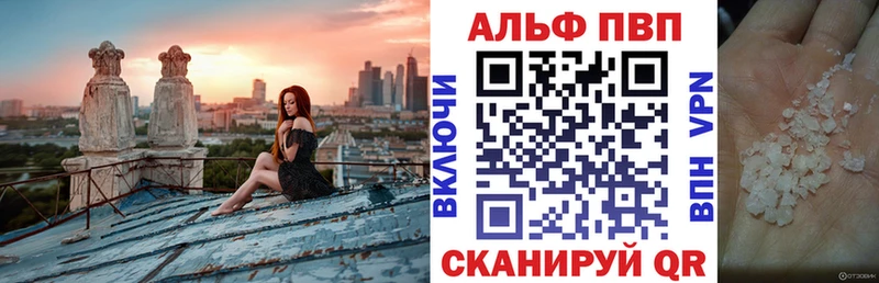 A-PVP СК  Шарья 